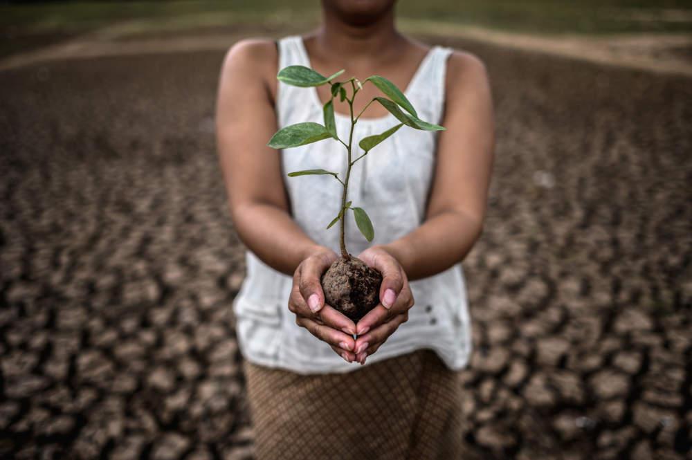woman-holding-seedlings-are-dry-land-warming-world