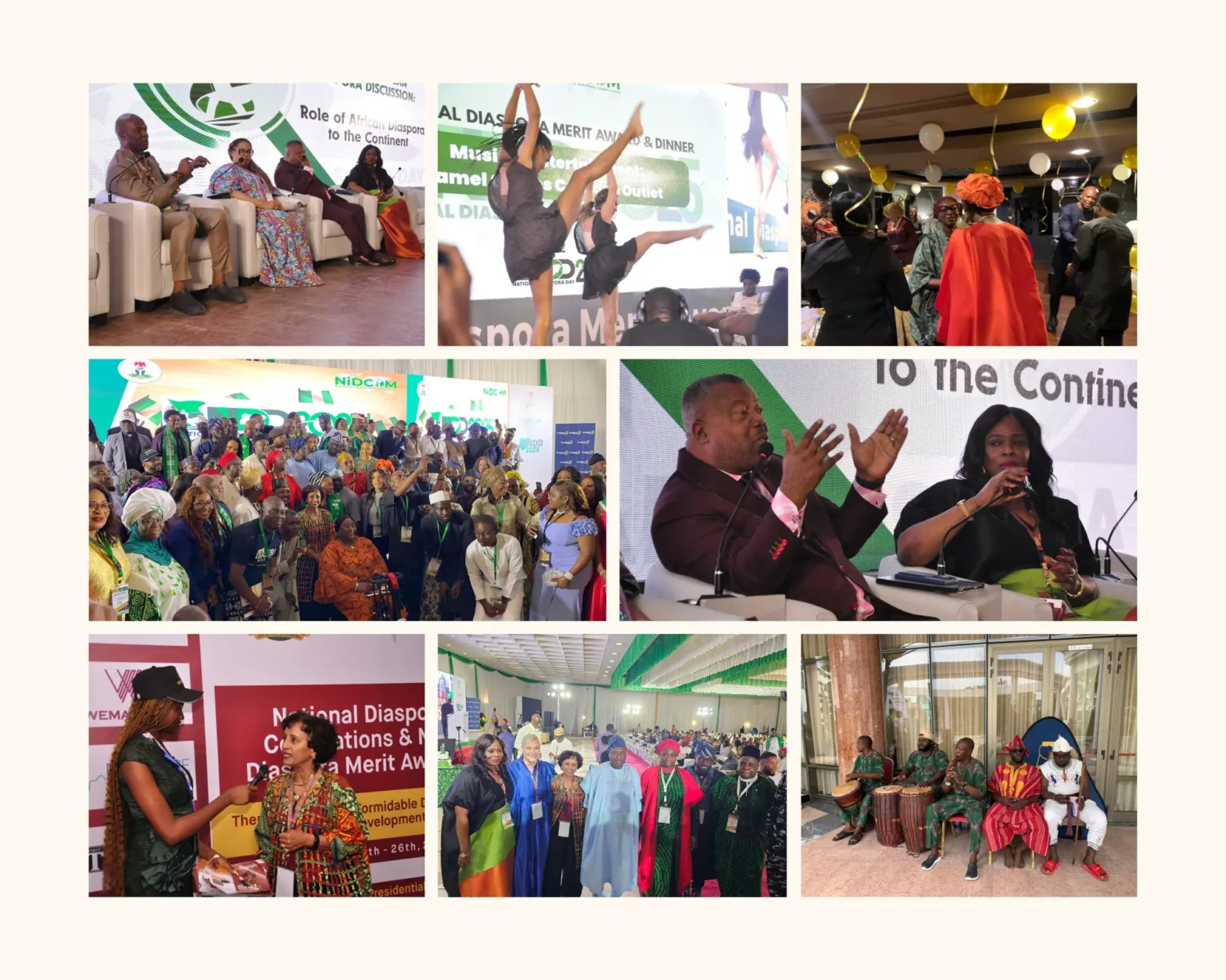 Diaspora Engagement in Action A View from Nigeria