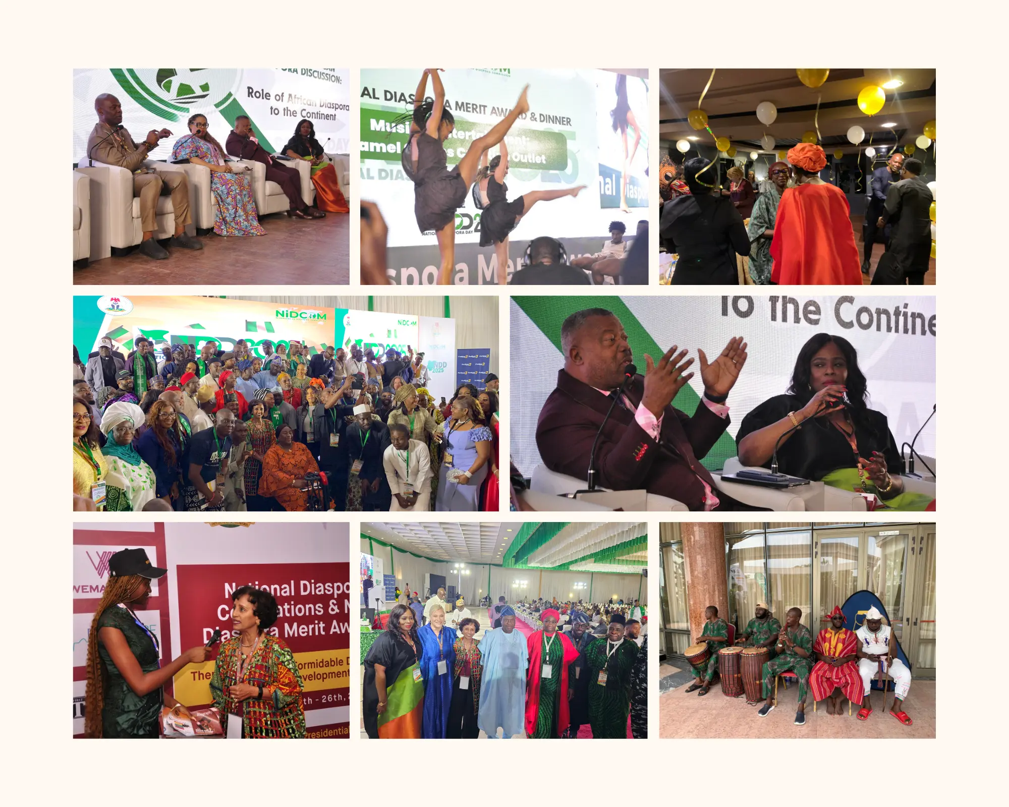 Diaspora Engagement in Action A View from Nigeria